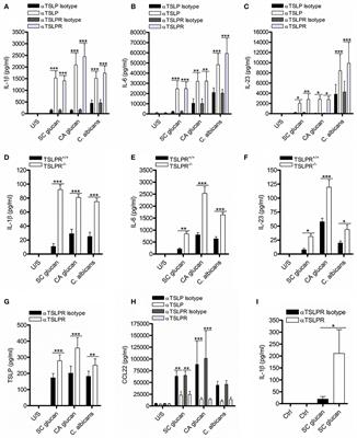 Dendritic Cell-Derived TSLP Negatively Regulates HIF-1α and IL-1β During Dectin-1 Signaling